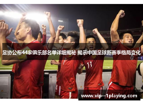 足协公布44家俱乐部名单详细揭秘 揭示中国足球新赛季格局变化